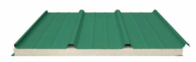 roof-pannel-0610